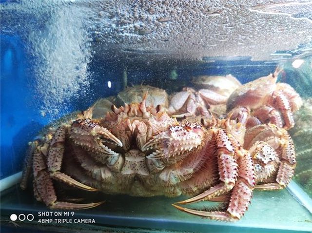 48 Mp Kameralı Xiaomi mi 9 ile Çekilen İlk Fotoğraflar Yayınlandı