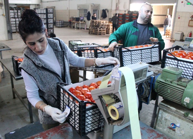 Antalya'dan Tanzim Satışa 4 Günde Bin 400 Ton Sebze Gönderildi