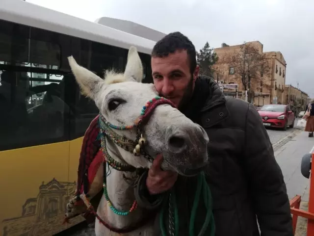 Eziyet Görüntülerinin Ardından Eşeğin Sahibi Konuştu: Eşeğimi Emekli Ediyorum