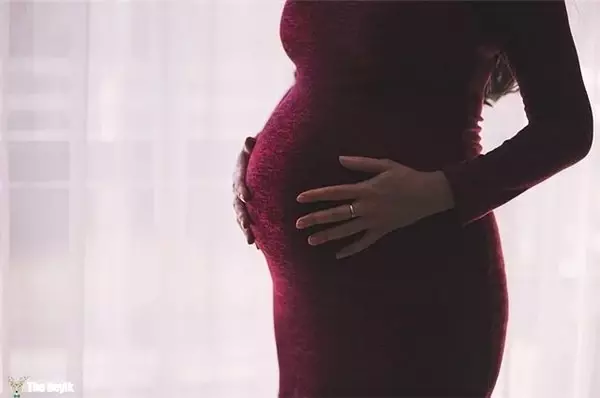 Gebelik Döneminde Tüketilmesi Gereken Besinler
