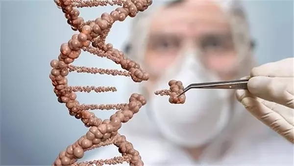 Bilim İnsanları, Crıspr Kullanarak Kök Hücreleri Görünmez Hale Getirdi