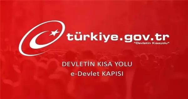 Cumhurbaşkanı Yardımcısı, E-Devlet'i Kaç Kişinin Kullandığını Açıkladı