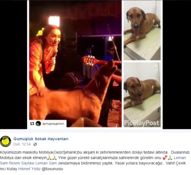 Şarkıcı Leman Sam, Sahnesinde Kendisine Eşlik Eden Köpeğin Zehirlendiğini Öğrenince Sitem Etti