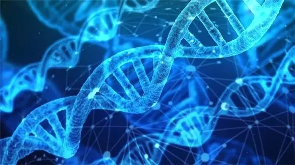 Bilim İnsanları, Dna'ya 4 Yeni Sentetik Baz Ekleyerek 8 Bazlı Yapay Dna Üretmeyi Başardı