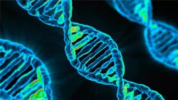 Bilim İnsanları, Dna'ya 4 Yeni Sentetik Baz Ekleyerek 8 Bazlı Yapay Dna Üretmeyi Başardı