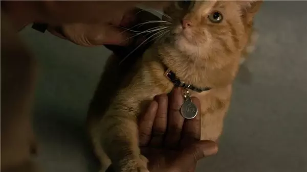 Yeni Başlayanlar İçin Captain Marvel ve Merak Uyandıran Karakterleri