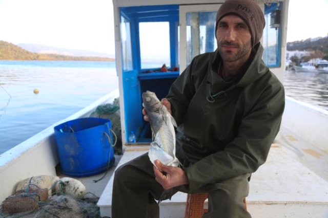 Muğlalı Balıkçılar Vampir Pire Olarak Bilinen İsopodlardan Dertli