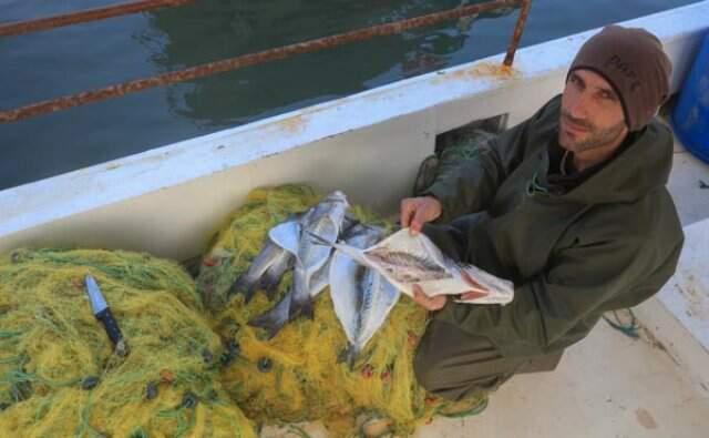 Muğlalı Balıkçılar Vampir Pire Olarak Bilinen İsopodlardan Dertli