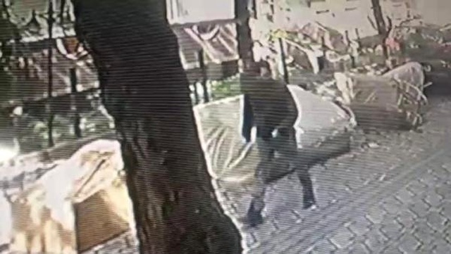 Önce Taciz, sonra Tokat! Kadın Öğretmene Saldırı Kamerada