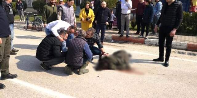 Sürücünün Çarpıp 