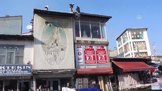 Çatılarda Biriken Karlar Ekmek Kapıları Oldu