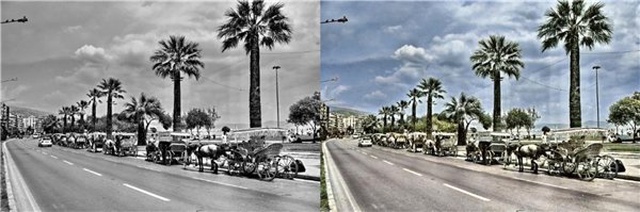 Siyah Beyaz Fotoğraflara Renk Katan, Bahar Gibi Site: Colourise.sg