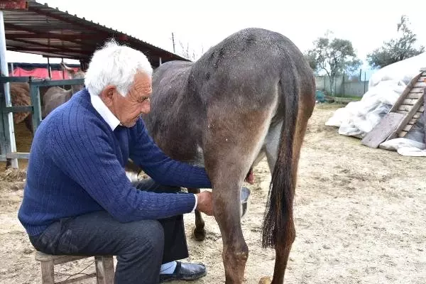 Eşeğin Sütünü de Sütünden Elde Ettiği Sabunları da Satıyor