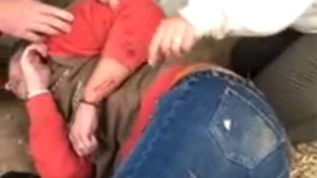 Selfie Yapmak İsterken Jaguarın Saldırısına Uğradı Selfie Çekmek İsteyen Ziyaretçi, Jaguarın Saldırısına Uğradı