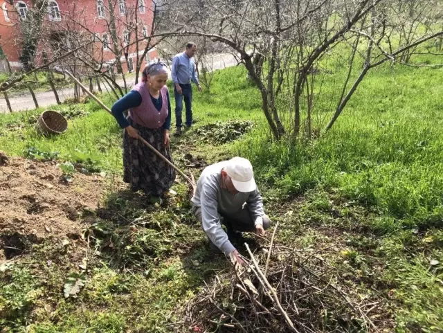 Karadenizli Fındık Üreticisi Bu Seneki Fındık Fiyatlarına Umutla Bakıyor