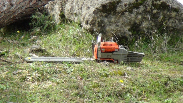 Kestiği Ağaç, 3 Çocuk Babasının Sonu Oldu