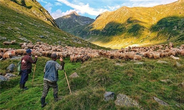 Fotoğrafçı Dominika Koszowska'ya Göre Ödüllü Fotoğraf Çekebilmek İçin Bir 'Xperia' Yeterli