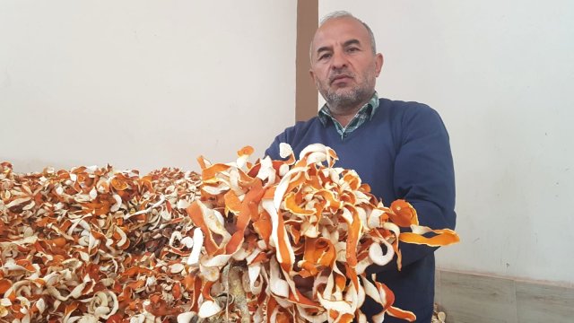 Narenciye Üreticileri Portakalın Kabuğunu 6 Liradan Avrupa'ya İhraç Ediyor