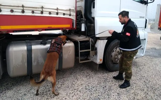 Zeytin Dalı Sınır Kapısı Faaliyete Başladı