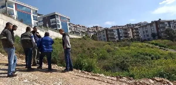 Çalıların Arasında Doğuran Domuz, Ekipleri Harekete Geçirdi