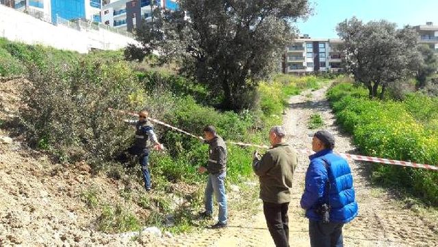 Çalıların Arasında Doğuran Domuz, Ekipleri Harekete Geçirdi