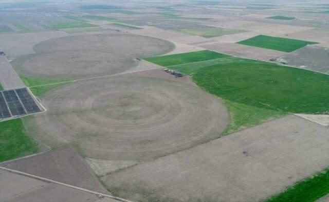 Türkiye'nin Tahıl Ambarı Konya Ovası Alarm Veriyor