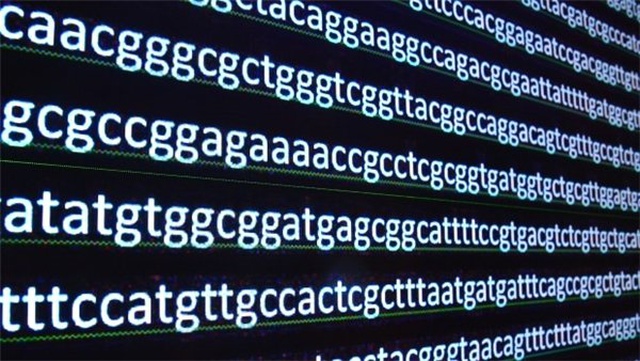 Bilim İnsanları, Yeniden Programlanabilir Dna Tabanlı Bir <a class='keyword-sd' href='/bilgisayar/' title='Bilgisayar'>Bilgisayar</a> Oluşturmayı Başardı