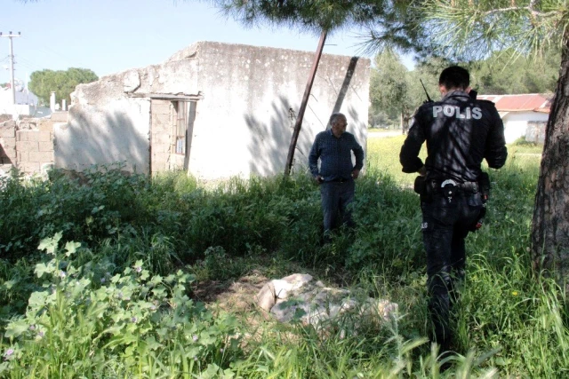 Mahalle Sakinlerinin Arazide Buldukları Mezar Polisi Alarma Geçirdi