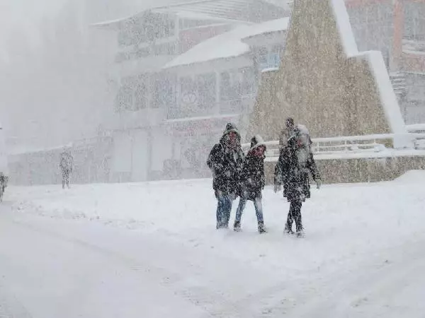 Van'da 14 Yerleşimin Yolu Kardan Kapandı