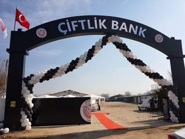 Çiftlik Bank İddianamesinin Detayları Ortaya Çıktı! Tosun, Binlerce Kişiyi Böyle Dolandırmış