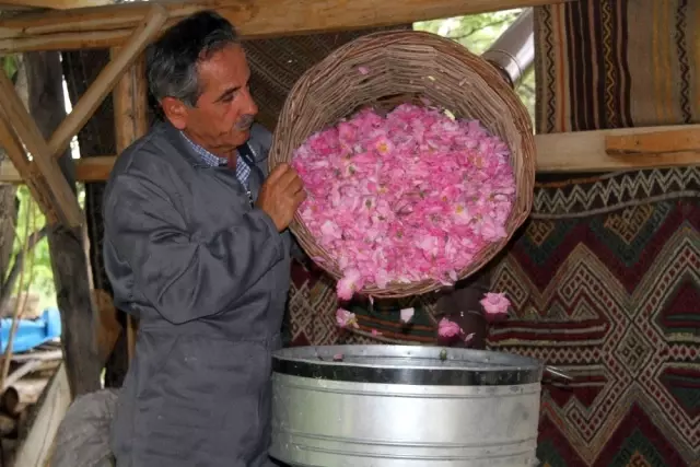 Gramla Satılan Isparta'nın Gül Yağı, Altınla Yarışıyor