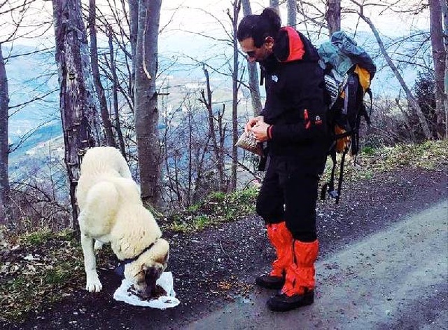 Yardımsever Öğretmen Donmak Üzereyken Bulduğu Köpeği Kilometrelerce Kucağında Taşıdı