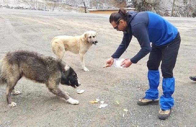 Yardımsever Öğretmen Donmak Üzereyken Bulduğu Köpeği Kilometrelerce Kucağında Taşıdı