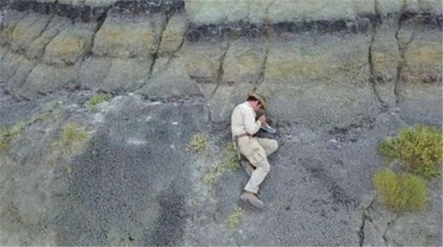 Dinozorların Öldüğü Günün Kaydı Fosillerde Ortaya Çıktı
