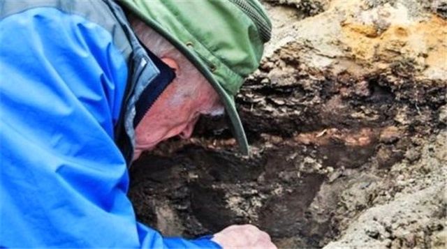 Dinozorların Öldüğü Günün Kaydı Fosillerde Ortaya Çıktı