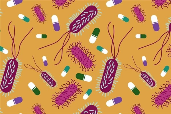Bakterilerin Evrimleşme Süreleri Yavaşlatılarak Antibiyotik Dirençleri Kırılabilir Mi?