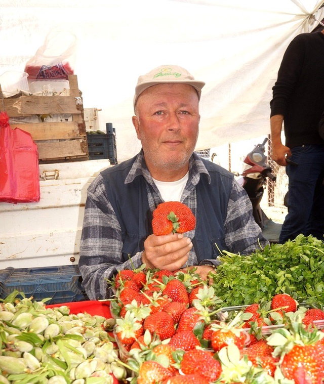 Bir Adeti 100 Gram Geliyor! Bu Çileği Görenler Merakla İnceliyor
