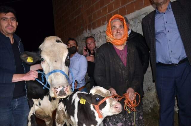 Bakanlık, İneğinin Arkasından Gözyaşı Döken Nine İçin Harekete Geçti Bakanlık, İneğinin Arkasından Gözyaşı Döken Nine İçin Harekete Geçti