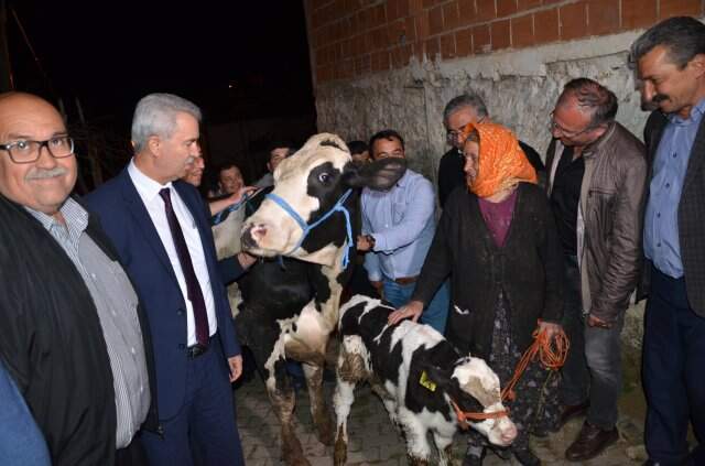 Bakanlık, İneğinin Arkasından Gözyaşı Döken Nine İçin Harekete Geçti Bakanlık, İneğinin Arkasından Gözyaşı Döken Nine İçin Harekete Geçti