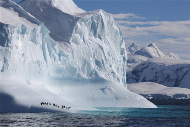 Dünyamızı Bize Anlatan Yeni Netflix Belgeseli: Our Planet