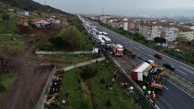 TEM'de Feci Kaza: 20 Kilometrelik Araç Kuyruğu Oluştu TEM'de Feci Kaza! TIR Parçalandı, Kasadaki Büyükbaş Hayvanlar Yola Savruldu