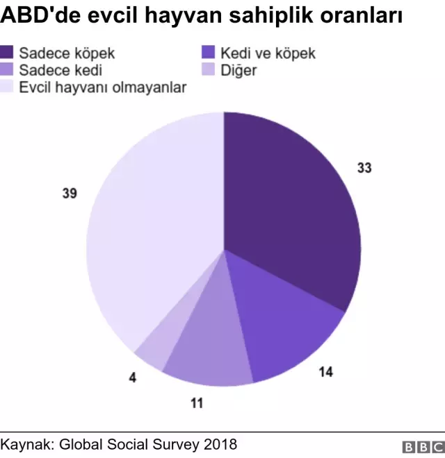 Köpek Sahipleri, Kedi Sahiplerine Kıyasla Daha Mutlu'