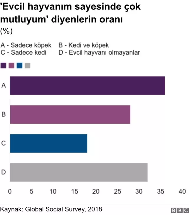 Köpek Sahipleri, Kedi Sahiplerine Kıyasla Daha Mutlu'