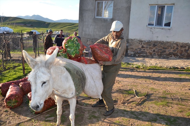 Baharın Müjdecisi 
