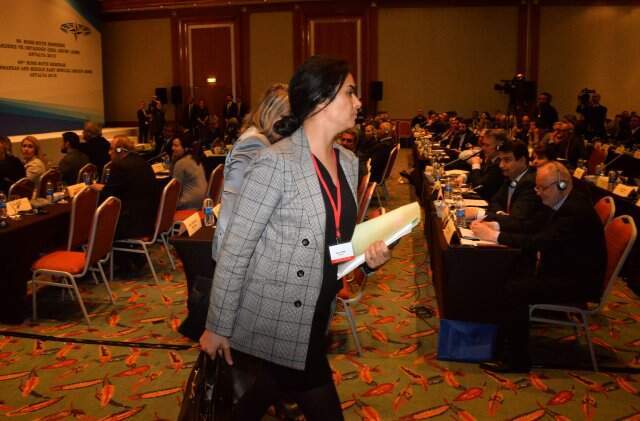 Fransız Parlamenter Sonia Krimi Yine 