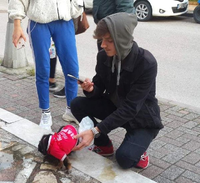 Gebe Olduğunu Anlamadığı Köpeği Yolda Doğum Yaptı
