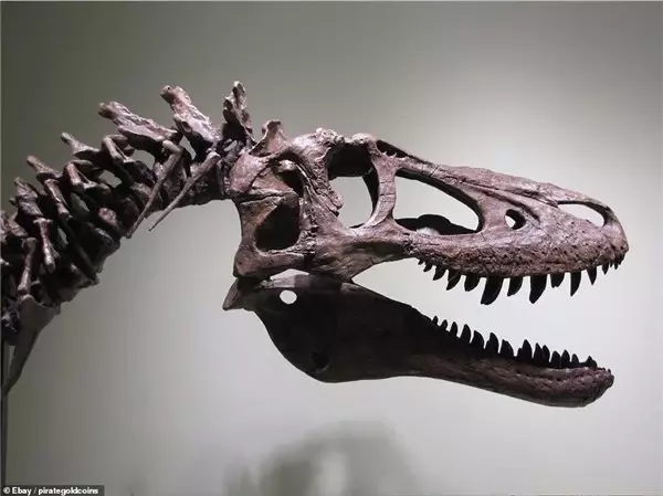 Bir Fosil Avcısı, T-Rex İskeletini Ebay'de 3 Milyon Dolara Satışa Çıkardı