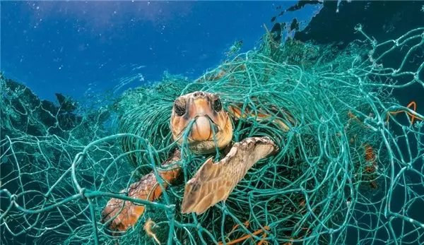 Denizlerdeki <a class='keyword-sd' href='/plastik/' title='Plastik'>Plastik</a> Artışı, 60 Senelik Verilerce Onaylandı