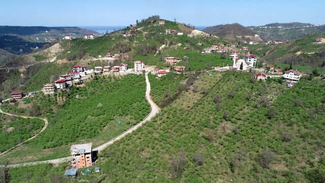 Kadınları İsyan Ettiren Mahallenin Adı Değişti