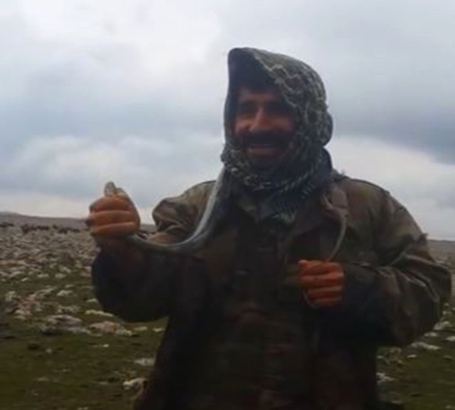 Yılanı Kurtaran Urfalı Çobanların Videosu, Sosyal Medyayı Salladı